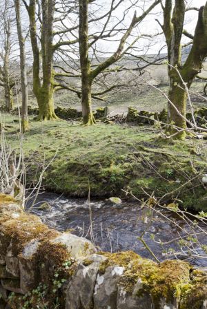 ponden mill 7 sm.jpg
